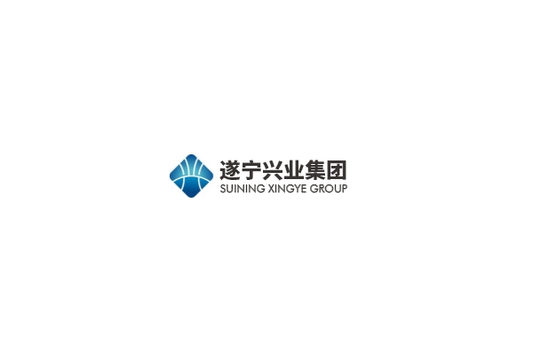嚴肅黨內(nèi)政治生活 夯實基層組織建設(shè)—興業(yè)集團機關(guān)黨支部圓滿完成換屆選舉工作